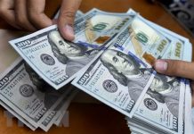 Tỷ giá USD, Euro ngày 23/9: USD biến động mạnh