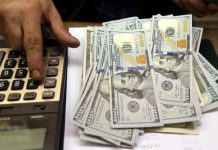 Tỷ giá USD hôm nay 24/11: Phục hồi từ mức đáy 3 tháng